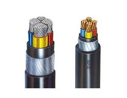 Armored Cable / Armoured Cable