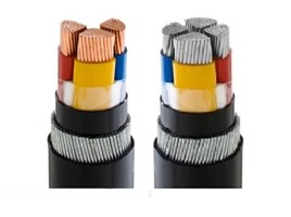 Armored Cable / Armoured Cable