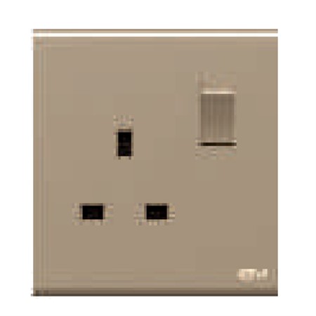 One 13A Square Socket with Double Pole Switch DB124-Gold<