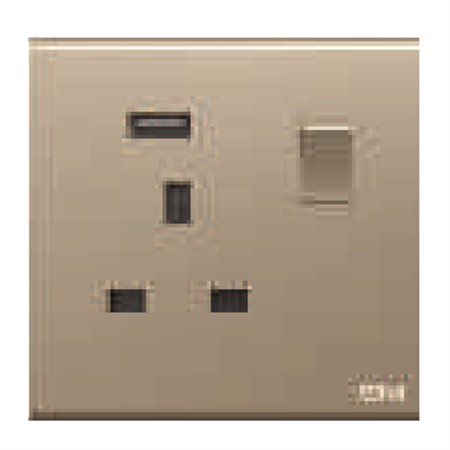 One 13A Squaresocket with Double pole Switch+USB DB126-Gold<