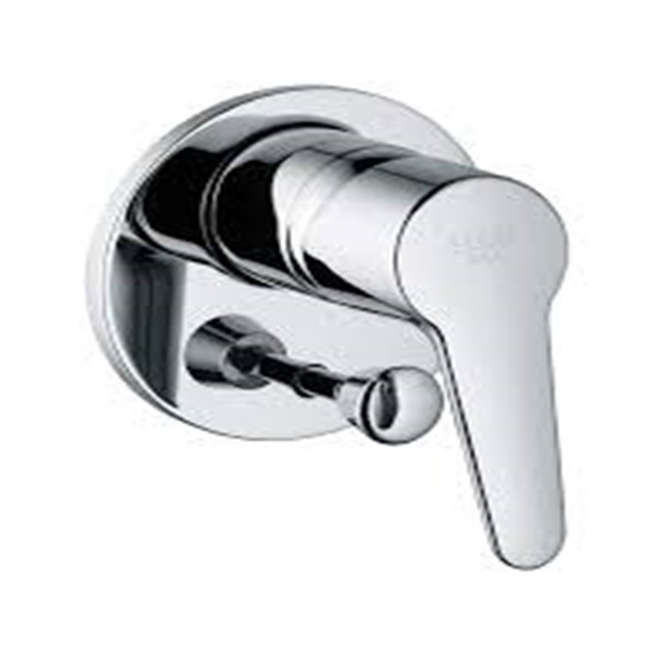 Concealed Shower Mixer<