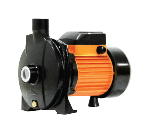 RR Centrifugal Water Pump, RRCP-2-0S-22, 1.5kW, 2 HP<